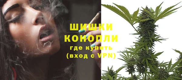 соль ск Липки