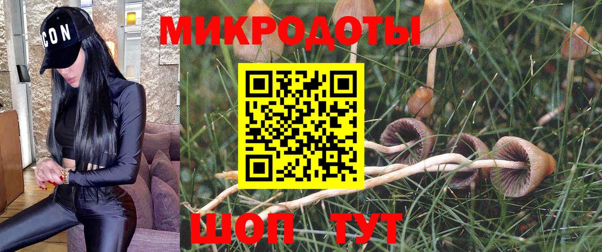 Галлюциногенные грибы Magic Shrooms Саки