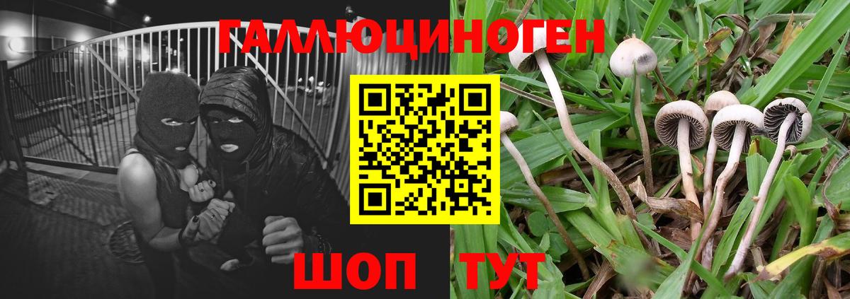 Псилоцибиновые грибы Cubensis  Псилоцибиновые грибы Magic Shrooms  наркота  Саки  Вход с VPN 